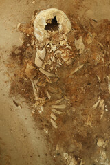 The mummies of Sitio Colon 10 in Arica, Chile