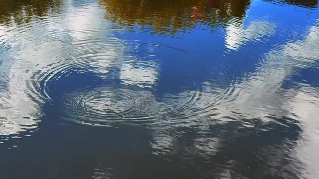 The lake landscape and the reflection of nature and trees on the water.
Small waves on the lake in a warm, windless day.