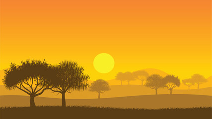 African Mountain Forest Sunset Savannah Africa