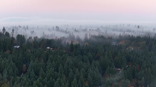 Dawn illuminates fog as it drifts across a Pacific Northwest landscape near Portland, Oregon. Fog forms when moist air cools to its dew point, causing water vapor to condense.