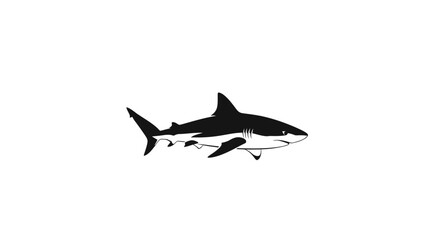 Illustration of a shark with a dark gray back and white belly.