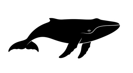 Fototapeta premium Silhouette of a humpback whale swimming, isolated on a white background, showcasing its distinctive body shape and flippers.