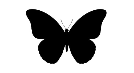 Silhouette of a butterfly with symmetrical wings and antennae on a white background.