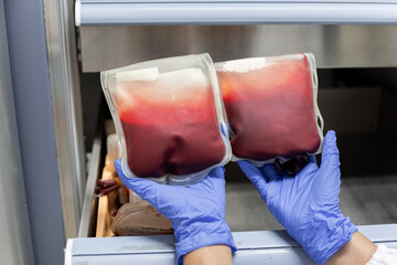 Close up scientist hand wear blue gloves holding red blood bag in storage refrigerator at blood bank unit laboratory.Blood bags received from blood donations used in patients.Save life medical concept
