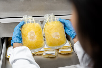 Close up scientist hand wear blue gloves holding fresh frozen plasma bag in storage refrigerator at blood bank unit laboratory.Blood bag received from blood donation used in patients.Save life concept