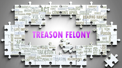 Treason Felony as a complex subject, related to important topics. Pictured as a puzzle and a word cloud made of most important ideas and phrases related to treason felony. ,3d illustration