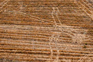 Background with a dry field in summer with furrows seen from above