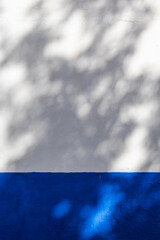 White wall with indigo blue baseboard at the bottom with shadows of tree leaves