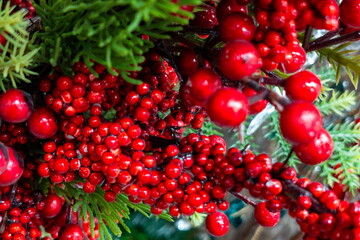 Bright red berries nestled among green leaves in a vibrant display of nature's color during a sunny day in a lush garden