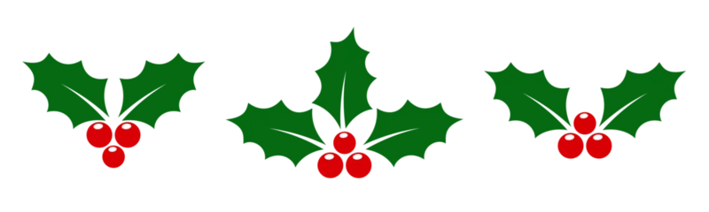 Selbstklebende Fototapeten Restaurant Holly berry icons set, Chritmas logo wirh holly berries  © dlyastokiv