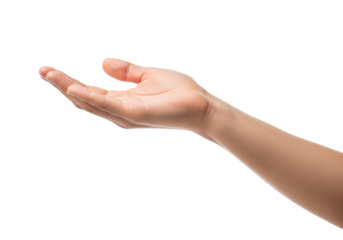 A clear and bright studio photograph of a hand, isolated on a transparent background, with the palm facing upward.