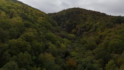 Aerial shot directly above of a oak forest canopy on November 01, 2025 in Galicia, Spain.