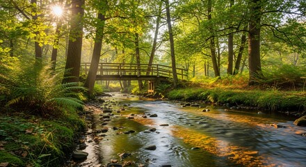 Fototapeta premium Discover serenity in this landscape with a wooden bridge over a stream, bathed in golden sun rays filtering through lush green trees for a peaceful escape