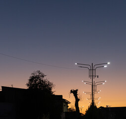 Modern street lights glowing against a colorful sunset sky with silhouettes of trees and houses