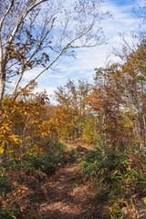 秋の乗鞍高原　MBTトレイル