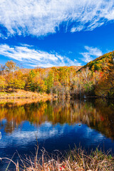 まいめの池の紅葉　