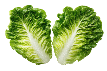 Two halves of a crisp, green leaf lettuce, displaying prominent,  slightly ruffled,  light-green inner layers