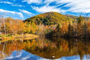 流れる雲とまいめの池