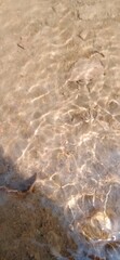 shallow clear water with rippling sunlight and sandy bottom, natural texture