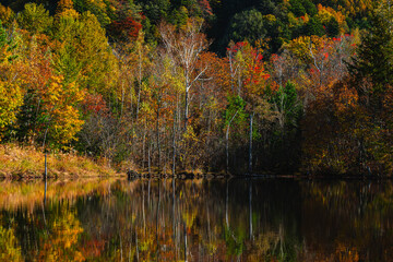 まいめの池　乗鞍高原