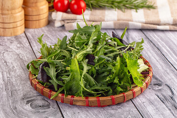 Fresh green ruccola salad leaves