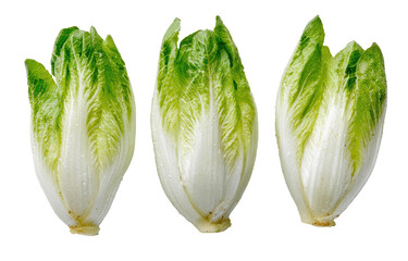 Three crisp, fresh butterhead lettuce heads, displayed in a studio setting