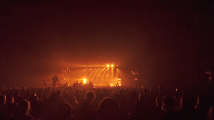 DJ Silhouette in Orange Glow Over Cheering Crowd at Night Concert