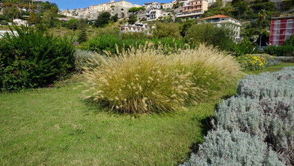 Obraz premium Colorful houses in old town of Ventimiglia in a beautiful summer day, Italy