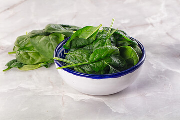 Raw green baby spinach plant
