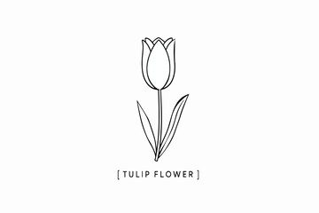 Minimal tulip flower line art illustration with twin leaves and bracket title, ideal for modern graphic templates.