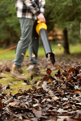 Cordless Leaf Blowers. handheld, cordless, electric leaf blower in a garden, selective focus. Autumn, fall gardening works in a backyard, on a lawn, grass. Garden works. 
