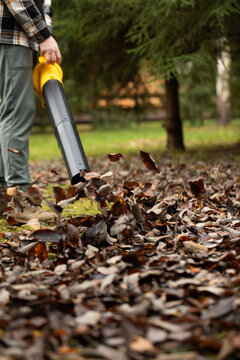 Cordless Leaf Blowers. handheld, cordless, electric leaf blower in a garden, selective focus. Autumn, fall gardening works in a backyard, on a lawn, grass. Garden works. 