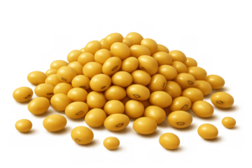 Soybeans forming a heap, highlighting raw plant-based protein and organic farming. Transparent background