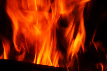 Vibrant flames dancing in the darkness, a captivating display of fire and light.