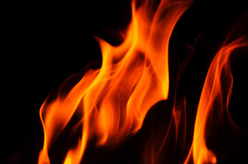 vibrant flames dancing against a dark background, creating a dramatic effect