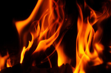 Vibrant flames dance against a dark backdrop, creating a captivating display of light and heat.
