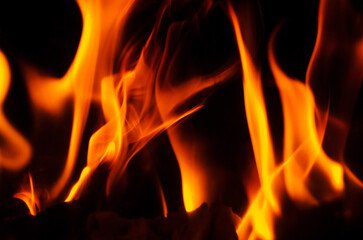 Vibrant flames dancing against a dark background, creating a captivating visual