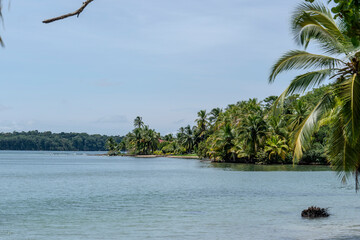 Panama, Isla Colon, Starfish Beach, Bocas del Toro, 
