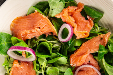 Salmon Salad appetizer seafood fresh fish second course portion size natural product tasty snack fresh delicious gourmet food background on the table rustic top view copy space pescetarian diet