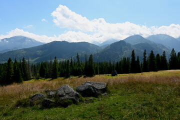Rusinowa Polana, one of the most scenic clearings in the Polish Tatra Mountains. Tatra National Park, Zakopane, Poland. Panorama of High Tatra (mostly Slovak) and Bielskie Tatra.