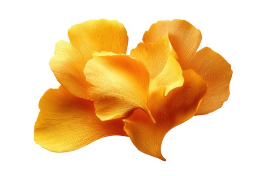 Close-up of a vibrant, golden-yellow flower.  Soft, overlapping petals create a heart-like form.  Image is isolated on black background