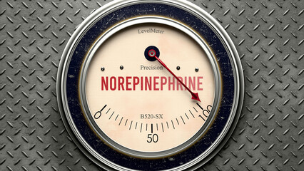 Norepinephrine that is hitting a full scale, showing a very high level of norepinephrine, overload of it, too much of it. Maximum value, off the charts.  ,3d illustration