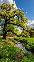 spring landscape, the oak branch of nature