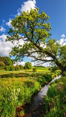 Fototapeta premium spring landscape, the oak branch of nature