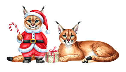 Festive caracal wearing Santa costume dual variation set isolated on transparent background