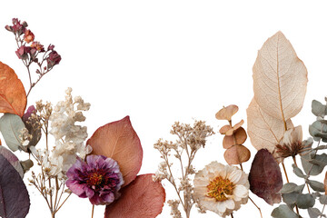 Dried botanicals arranged in a horizontal row against a black background.  Various shades of muted  brown, beige,  and pink flowers and leaves.  Close-up view of delicate textures