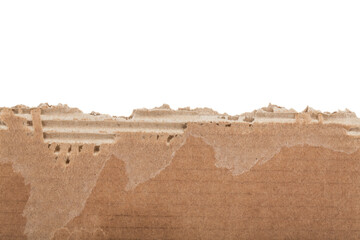 Torn cardboard isolated on white background.