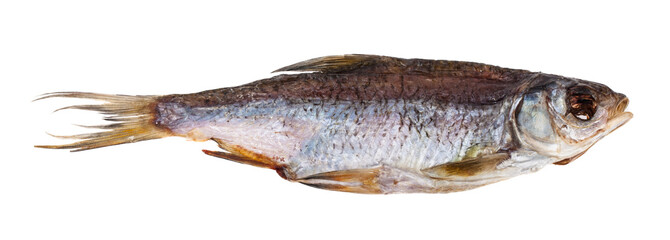 Dried roach fish isolated on white background.