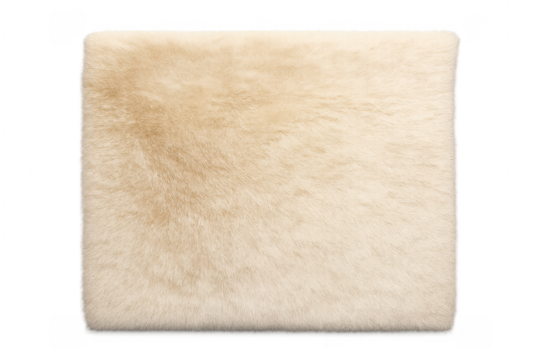 Beige faux fur luxurious soft carpet texture cutout