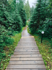 A wooden walkway in a forest.